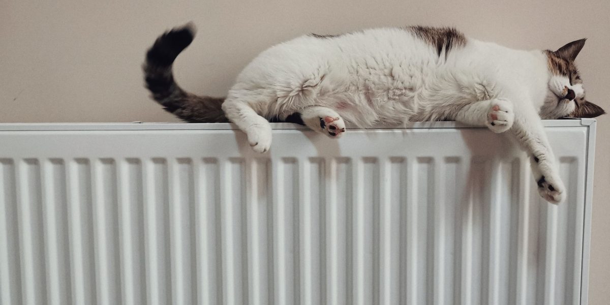 Zo kies je de beste radiator
