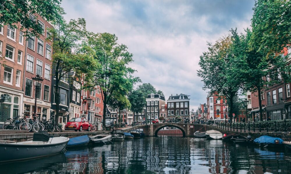 Het vermogen van Bridget Maasland