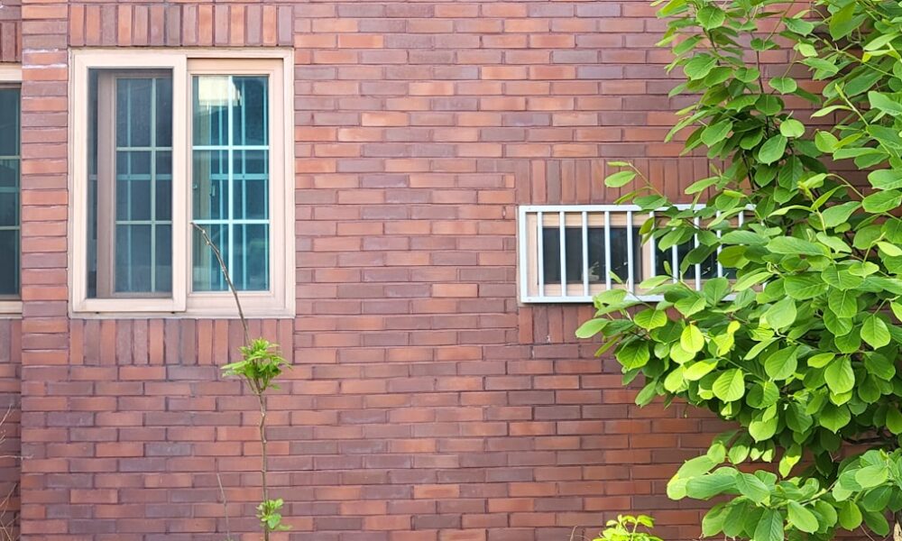 Jouw eigen compacte binnentuin diy: groen genieten op een kleine plek