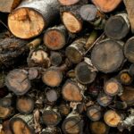 Warmte en gemak met duurzaam haardhout