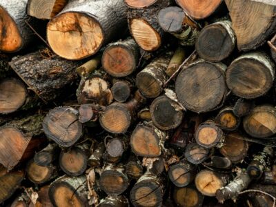 Warmte en gemak met duurzaam haardhout