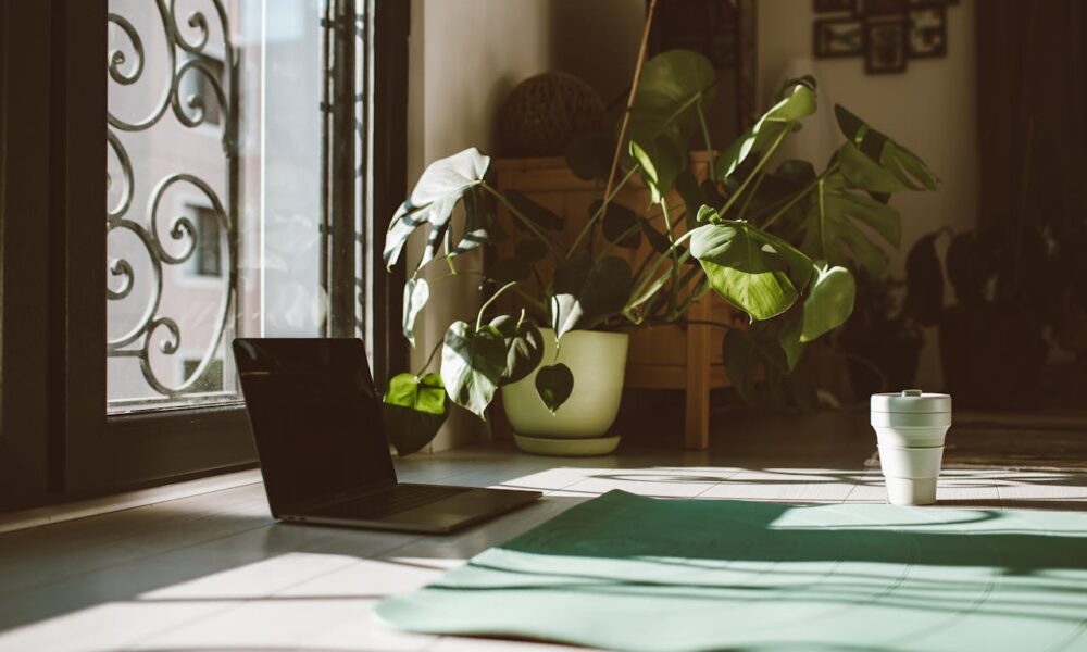 Zo creëer je een tropische jungle in je woonkamer
