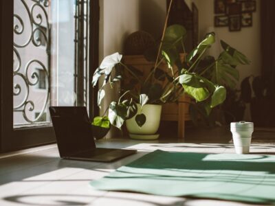 Zo creëer je een tropische jungle in je woonkamer